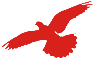 undefined 640 (4).png